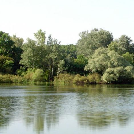 озеро Ильмень